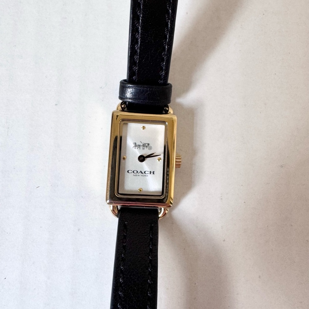 Coach Liz Watch - Picture 6 of 11